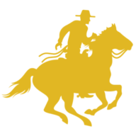 Access Venture Partners logo