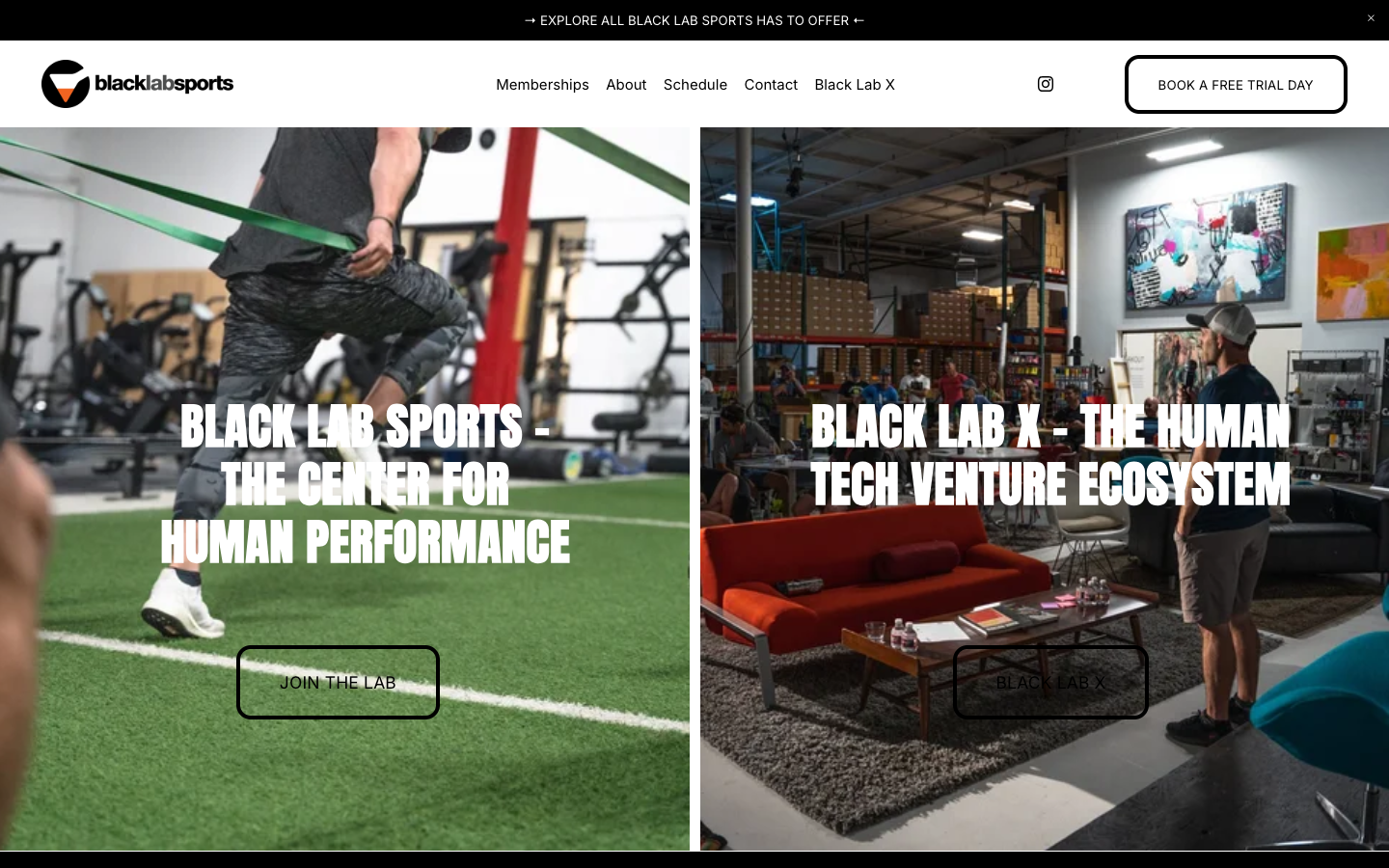 Black Lab Sports screenshot