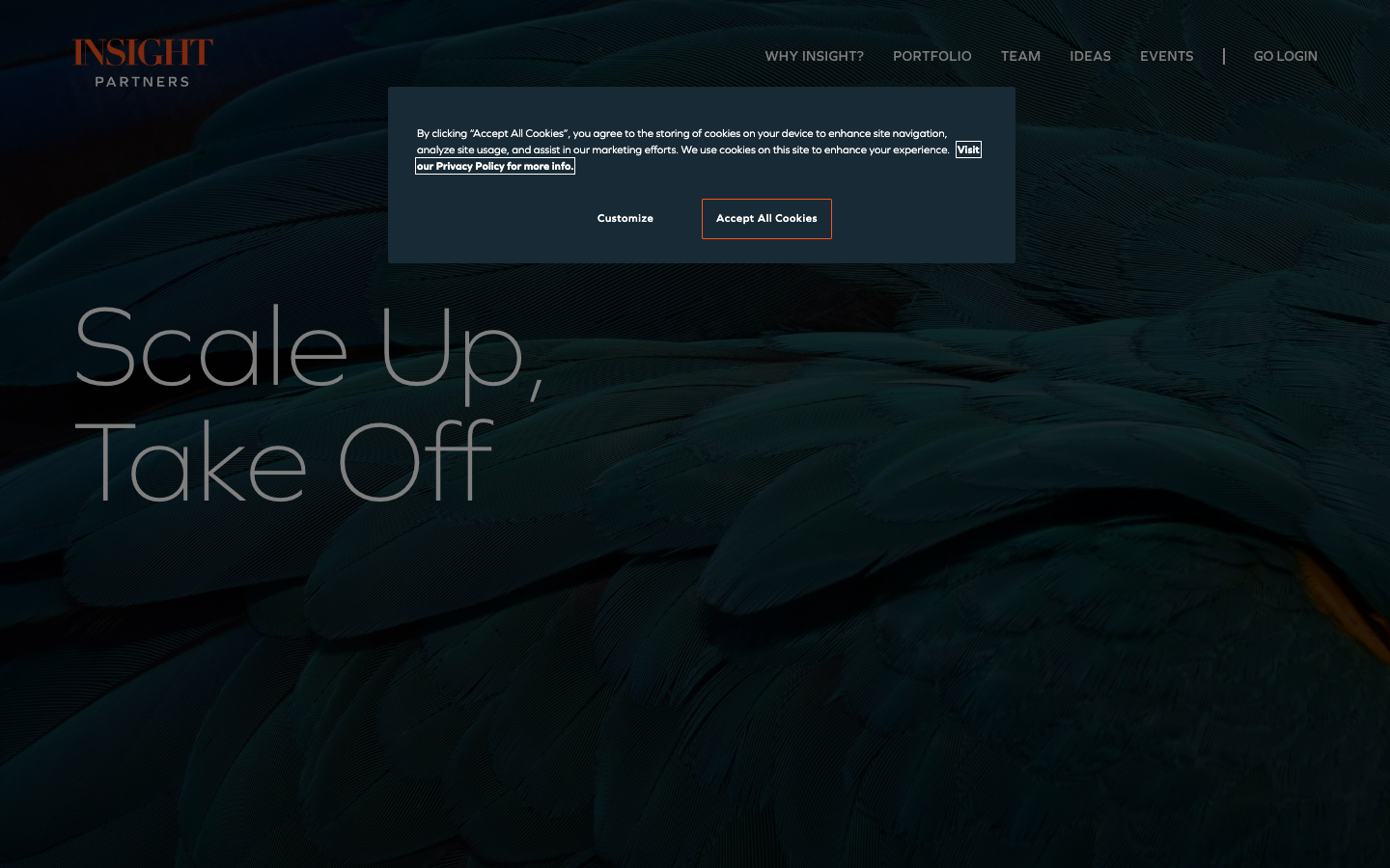 Insight Partners screenshot