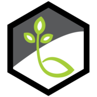Life Bridge Capital logo