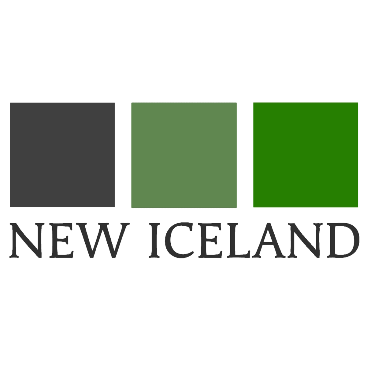 Home logo