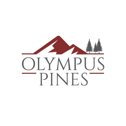 Home logo