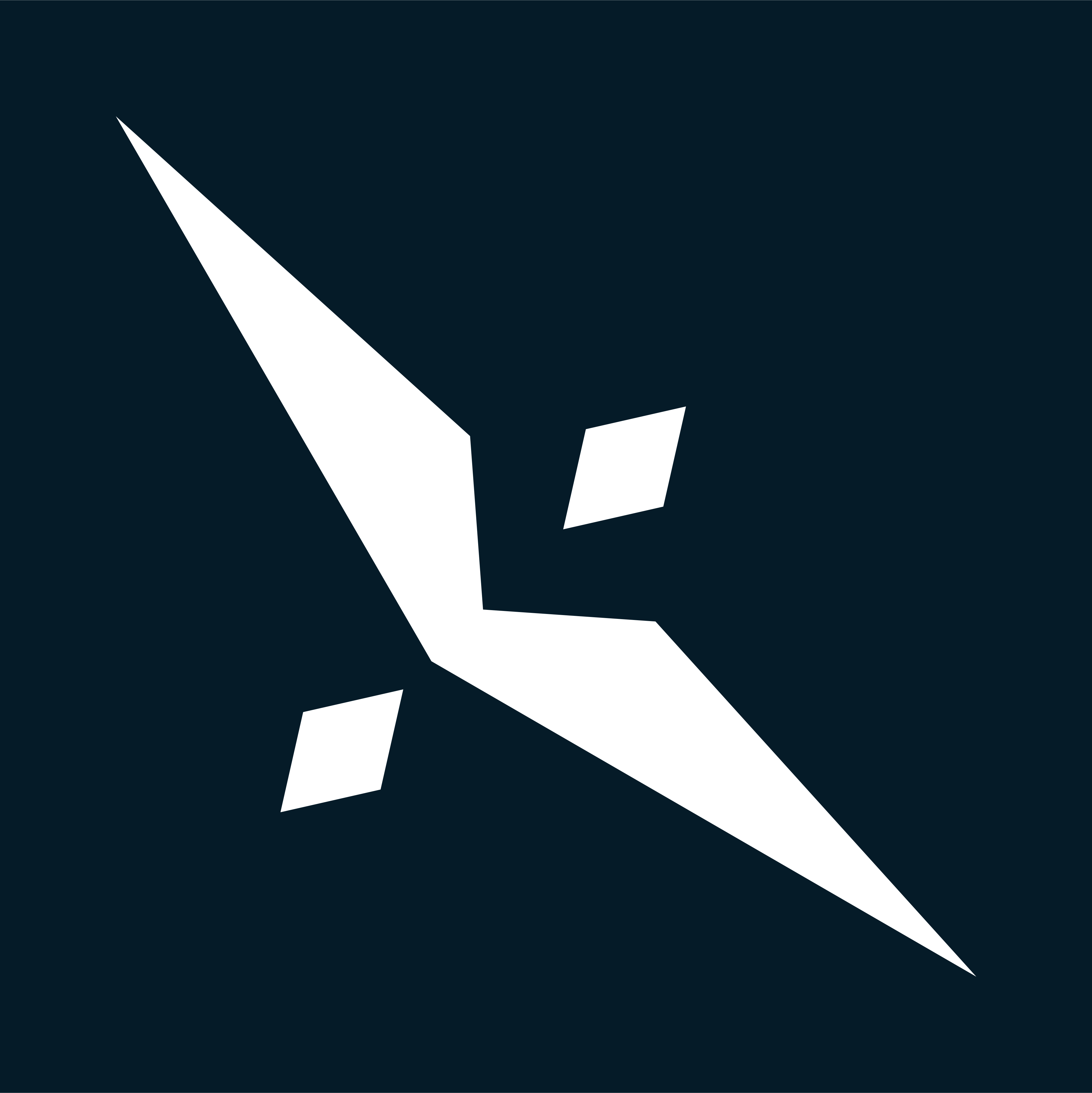Home logo
