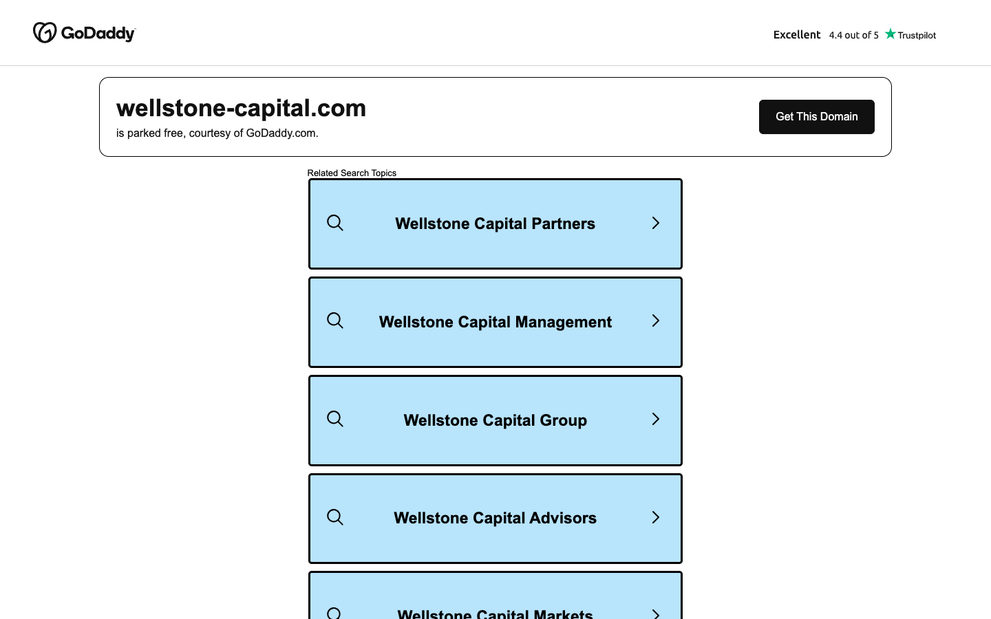 Wellstone Capital screenshot