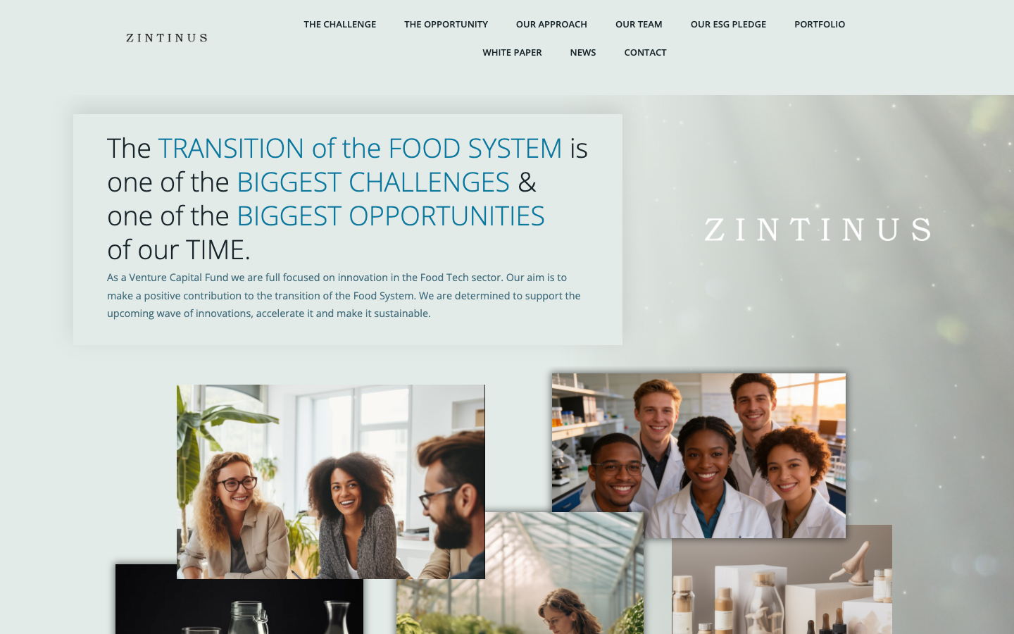 ZINTINUS screenshot